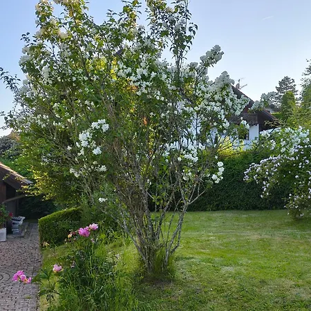 Andreas Apartamento *