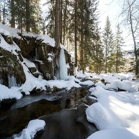 Andreas アパート ザンクト・ブラージエン