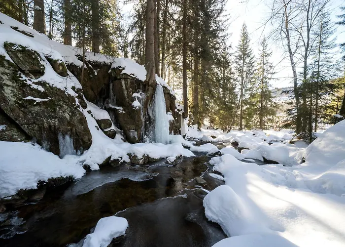 Andreas Appartement St. Blasien